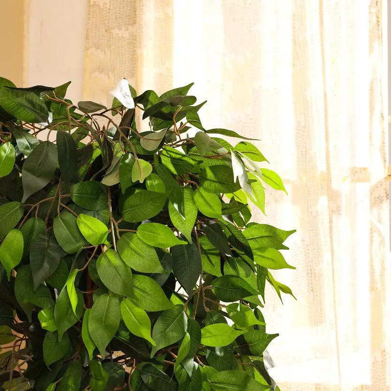 Artificial Realistic Ficus Plant With Black Plastic Pot - 4.9 Feet media 4