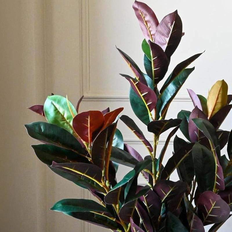 Faux Deco Red Rubber Plant With Black Plastic Pot - 2.79 ft media 4