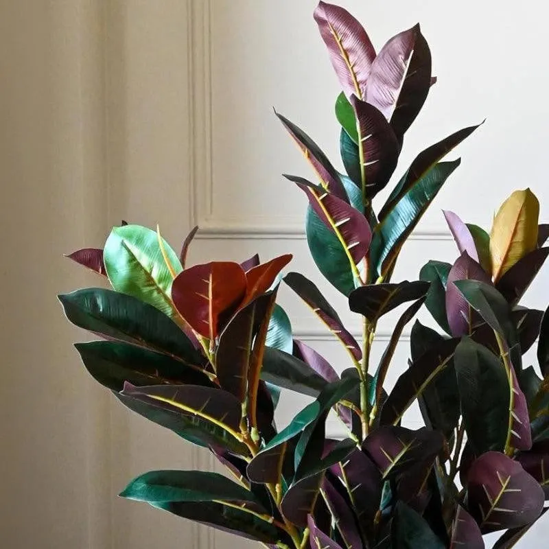 Faux Deco Red Rubber Plant With Black Plastic Pot - 2.79 ft media 4