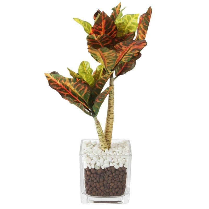 Faux Tall Croton Bonsai In Glass Pot - 38 cms media 4
