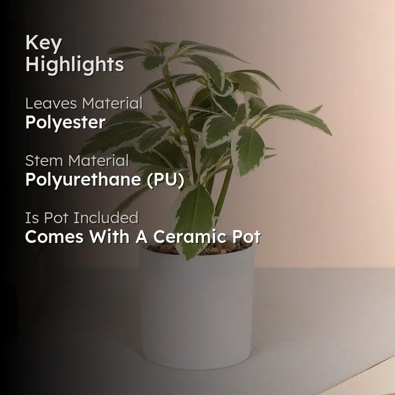 Schefflera Artificial Plants With Pot media 2