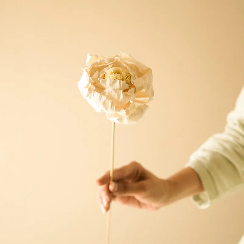 Natural Peony Handmade Dried Artificial Flower - Set Of Five media 4