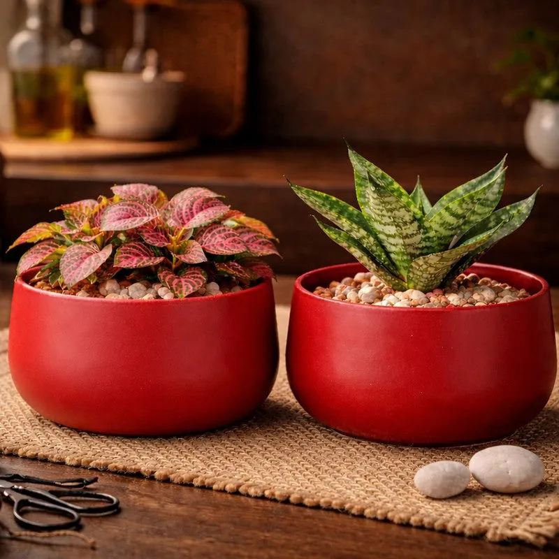 MinimalAura Pots & Planters (Red) - Set of Two media 6