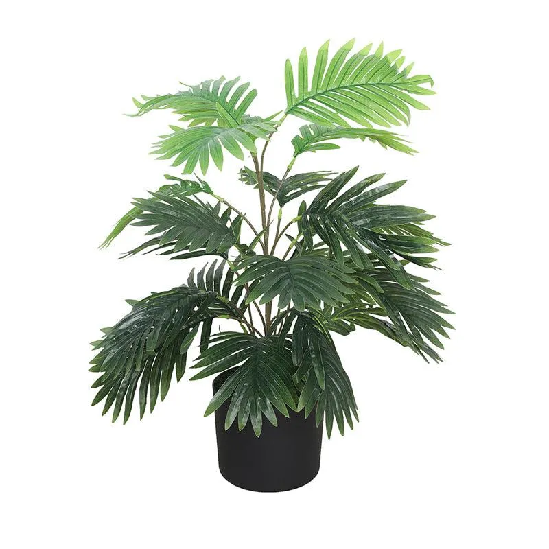 Everleaf Bliss Artificial Plant With Black Plastic Pot media 4