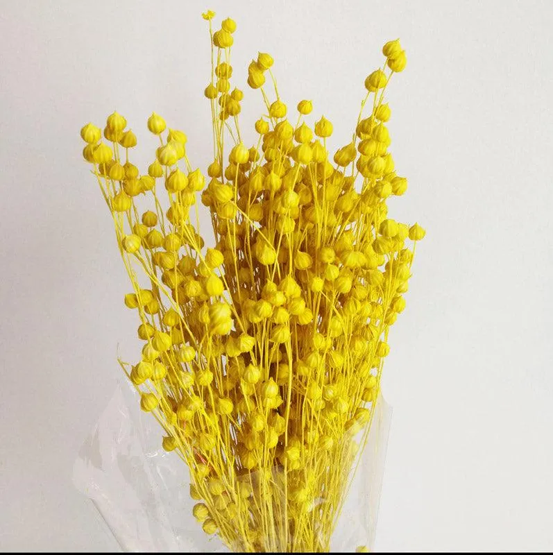 Amora Fax Dried Flower Bunch - Yellow media 3