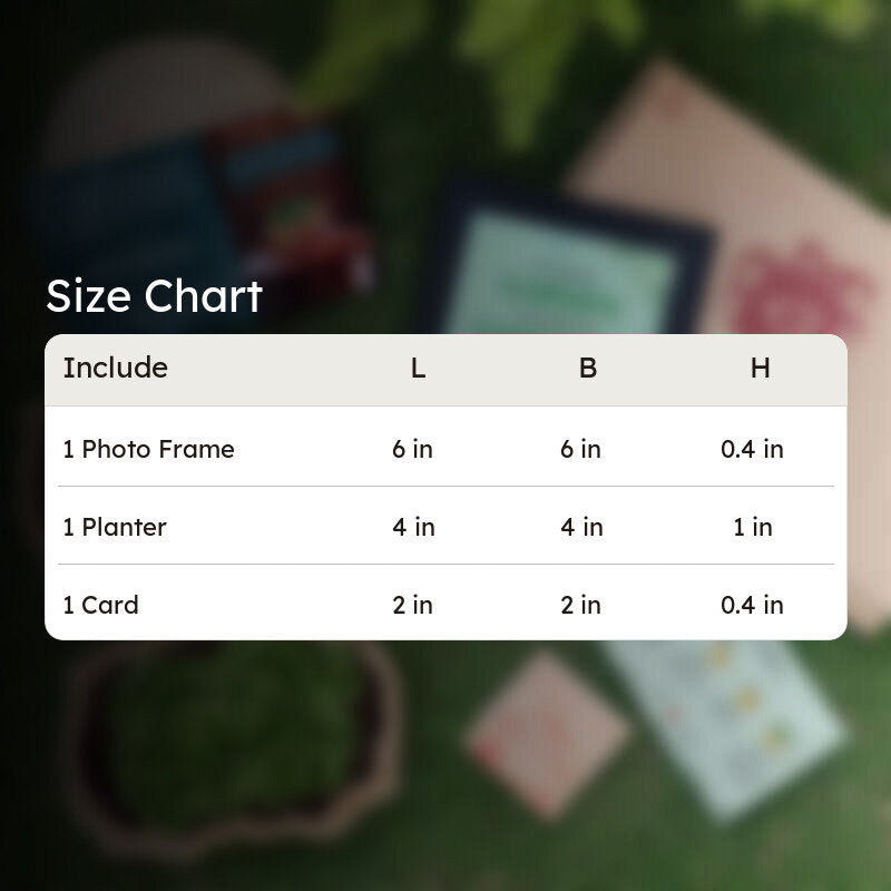 Garden Stater Gift Box media 6