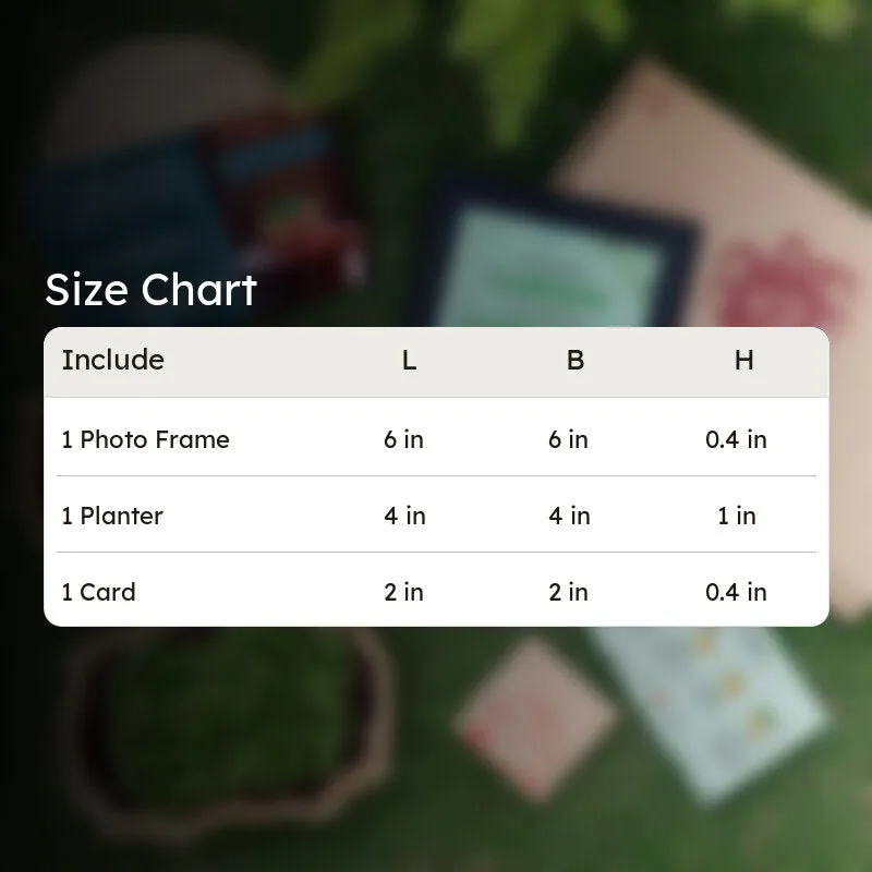 Garden Stater Gift Box media 6