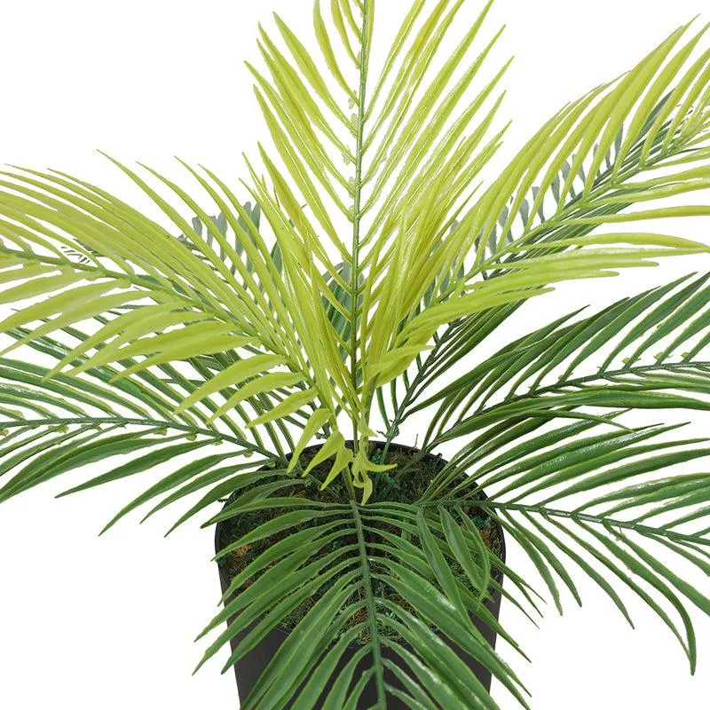 Verdant Luxe Artificial Plant With Black Plastic Pot media 6