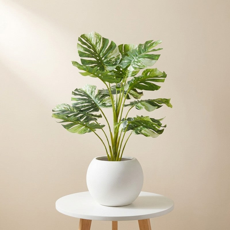 LeafScape Artificial Plant With Black Plastic Pot - 2.5 ft