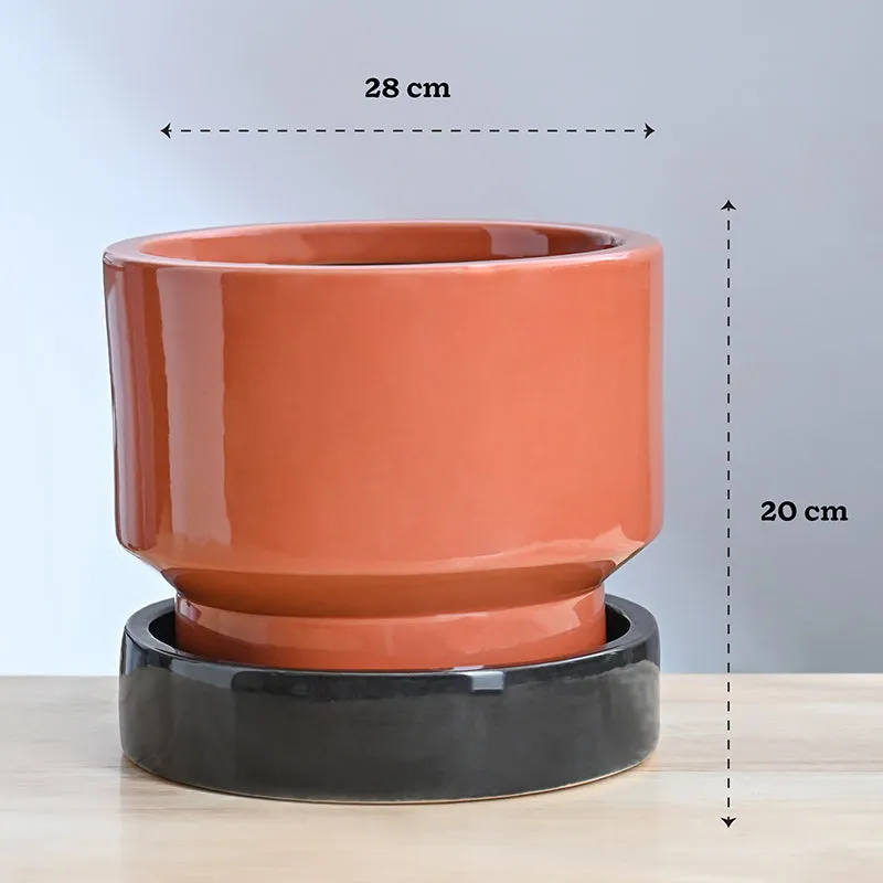 Ugaoo Pot-fection Ceramic Planter - Coral media 10