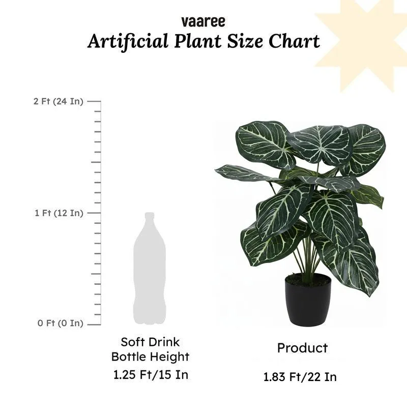 Faux Gimo Silk Plant With Black Plastic Pot - 55 cms media 5