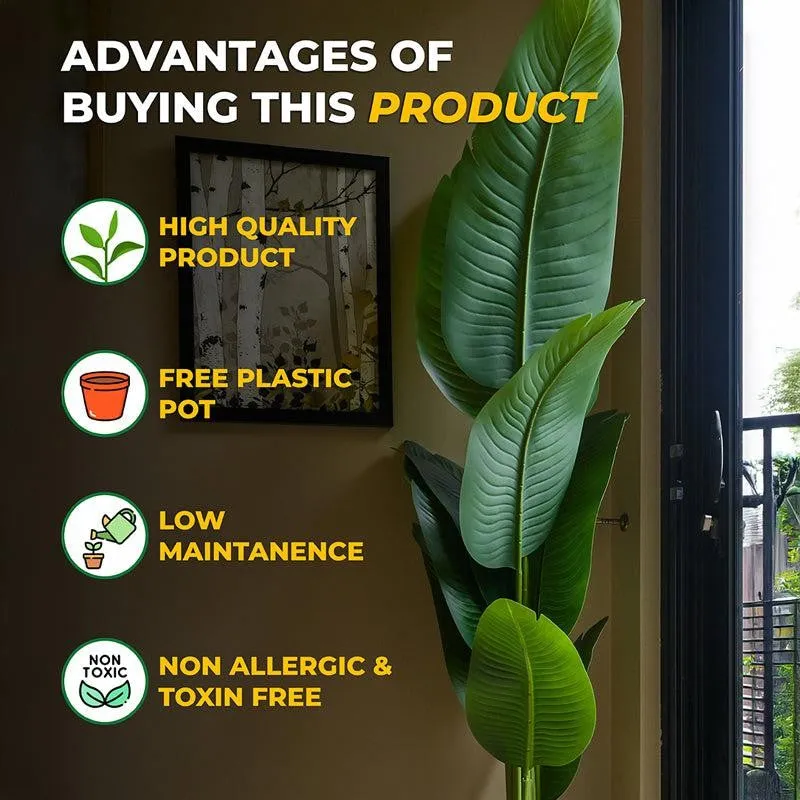 Tropibana Artificial Bird Of Paradise With Black Plastic Pot - 157 cm (5.2 ft) media 6