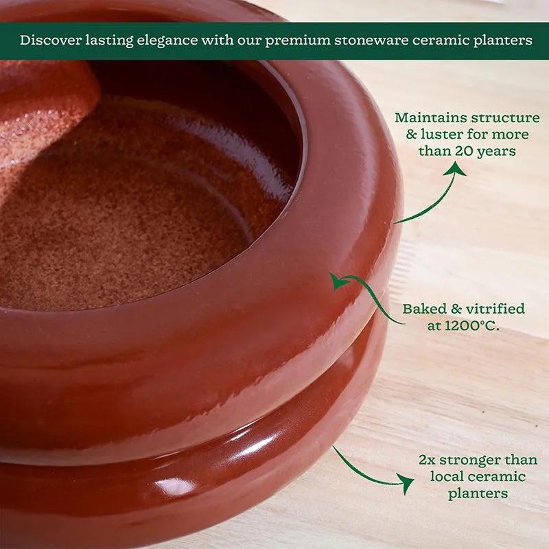 Ugaoo Ceramicurve Two Layer Ceramic Planter - Terracotta media 5