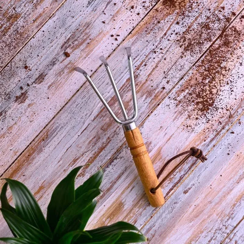 Ugaoo Cultivator with Wooden Handle media 4