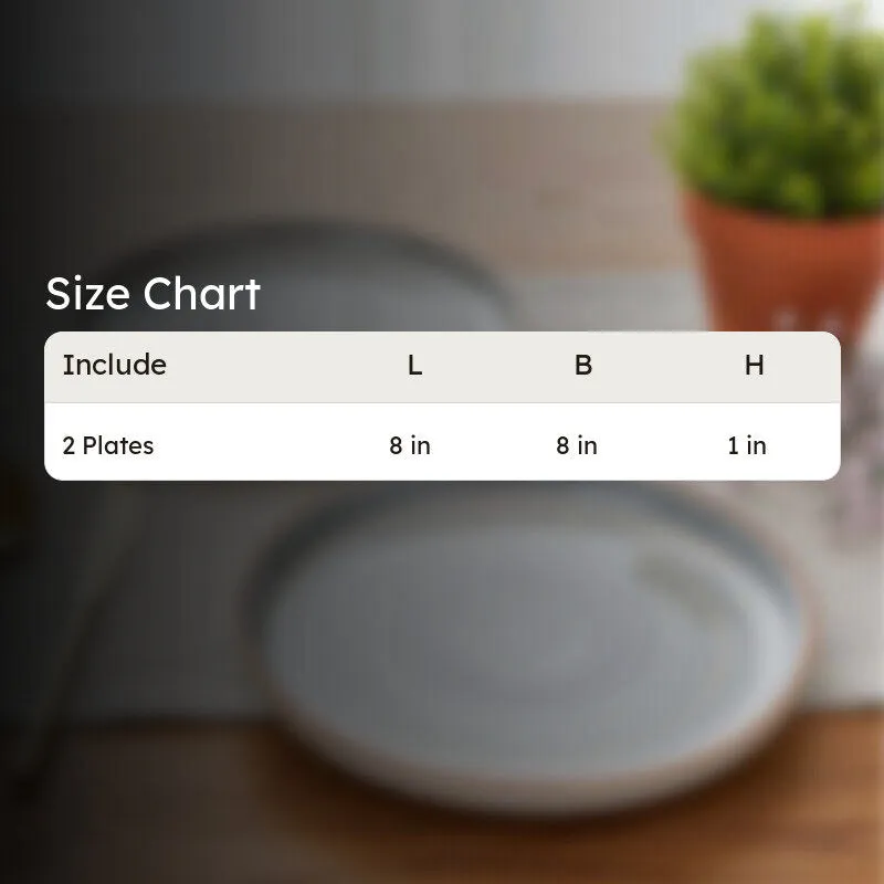 Lunar Grey Snack Plate - Set Of Two media 7