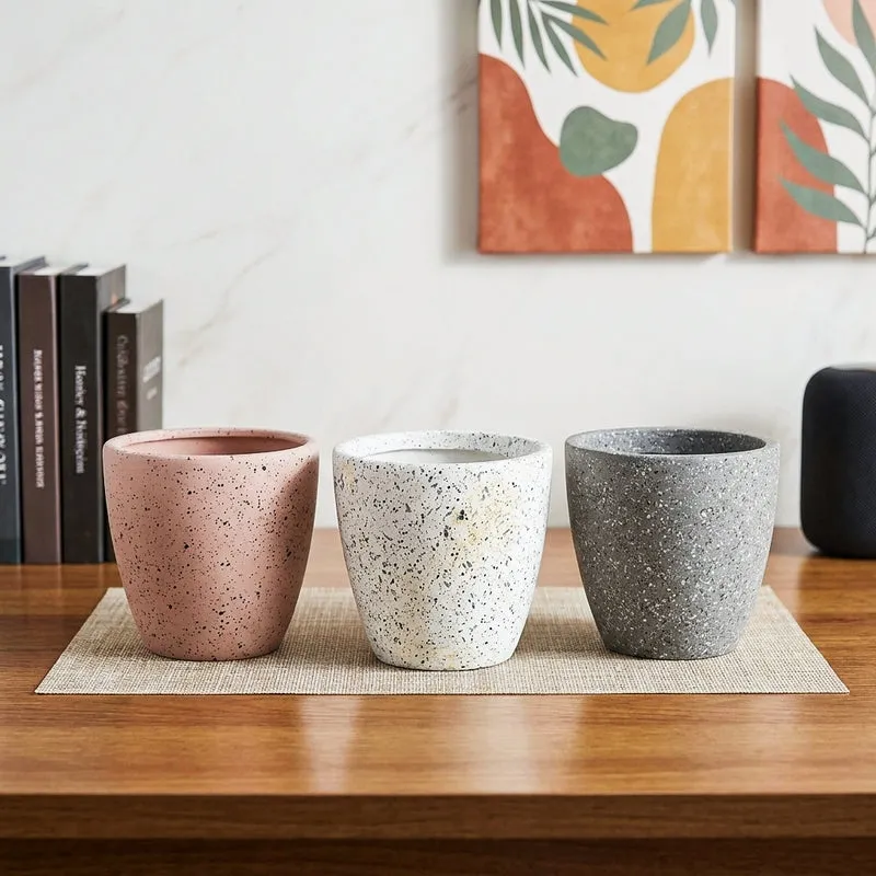 Elegant Terracotta Planter Set - Set of Three media 1
