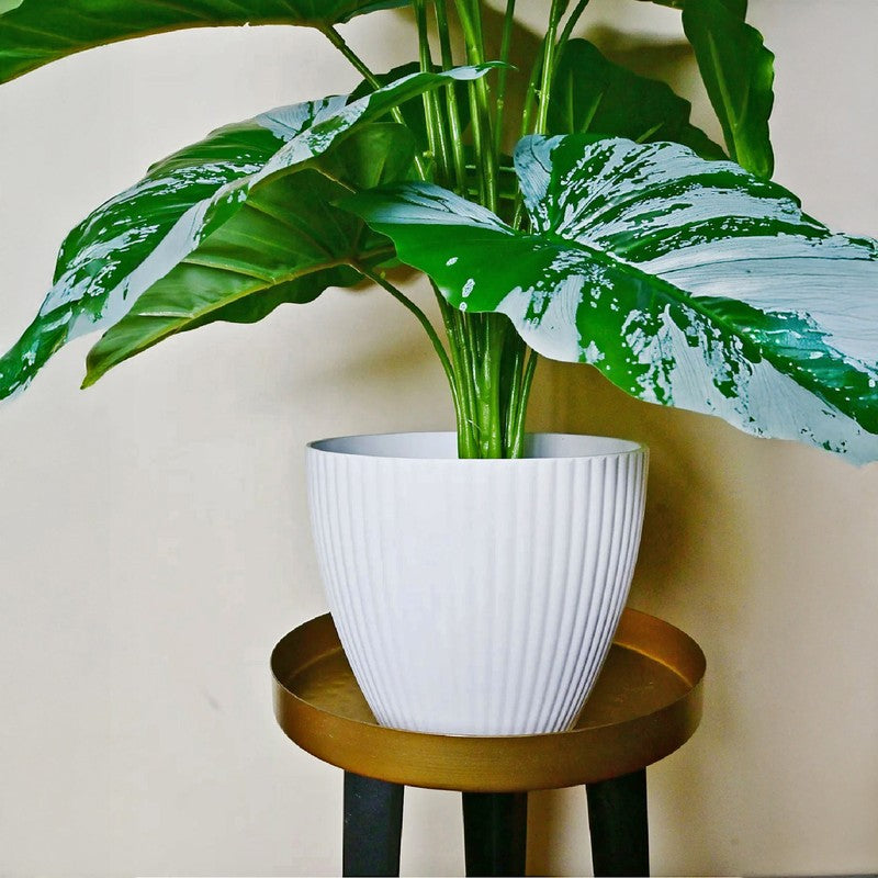 Arelis Ribbed Melamine Planter - Set Of Six media 4