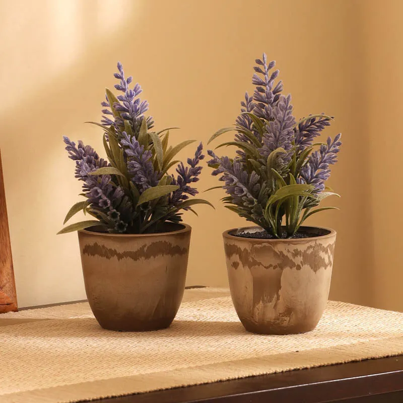 Root Pod FRP Pot (Set Of Six) - 3 Inch - 2