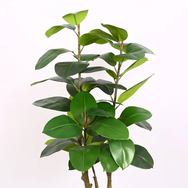 Verdiq Artificial Rubber Plant With Black Plastic Pot - 5 Feet media 5