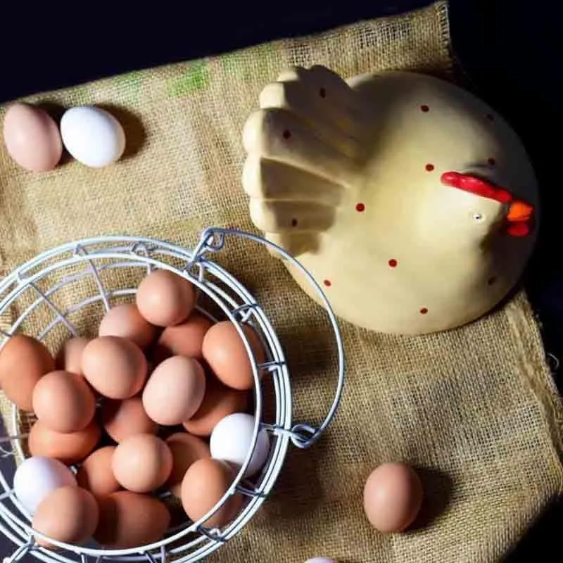 Cluck Cluck Egg (Polyresin, Metal) Storage Basket media 5