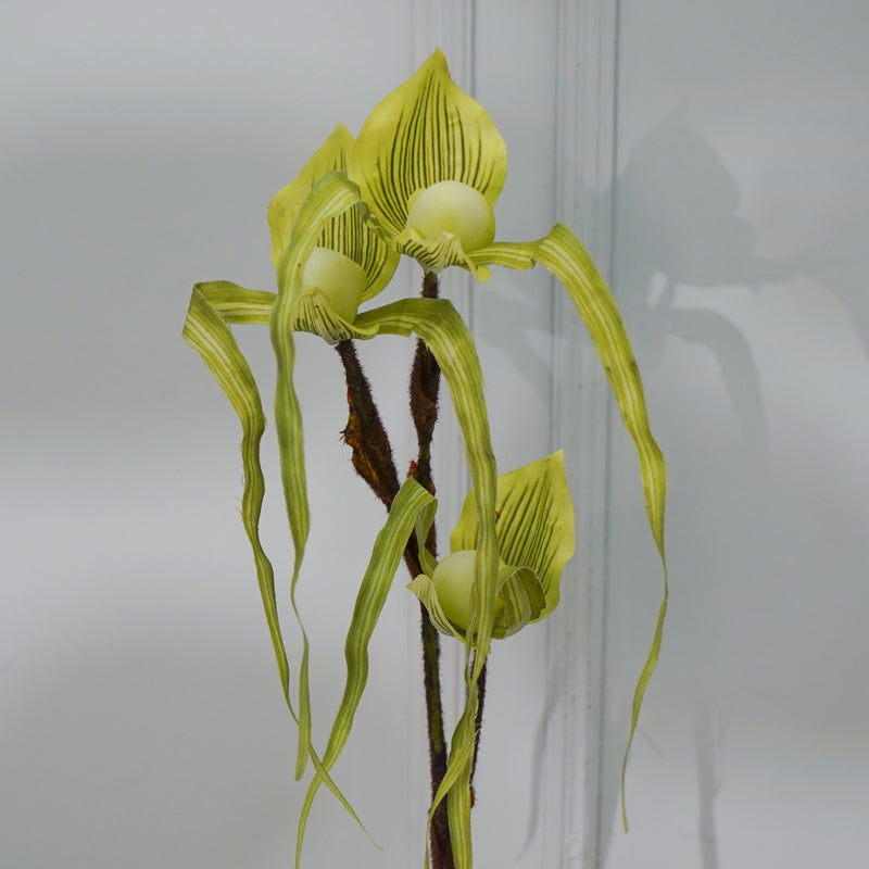 Faux Paphion Orchid Flower Stick (Green) - 31 CM media 4