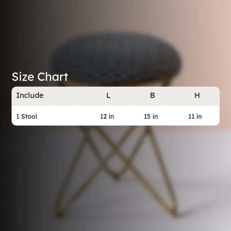 Frantz Metallic Stool media 7