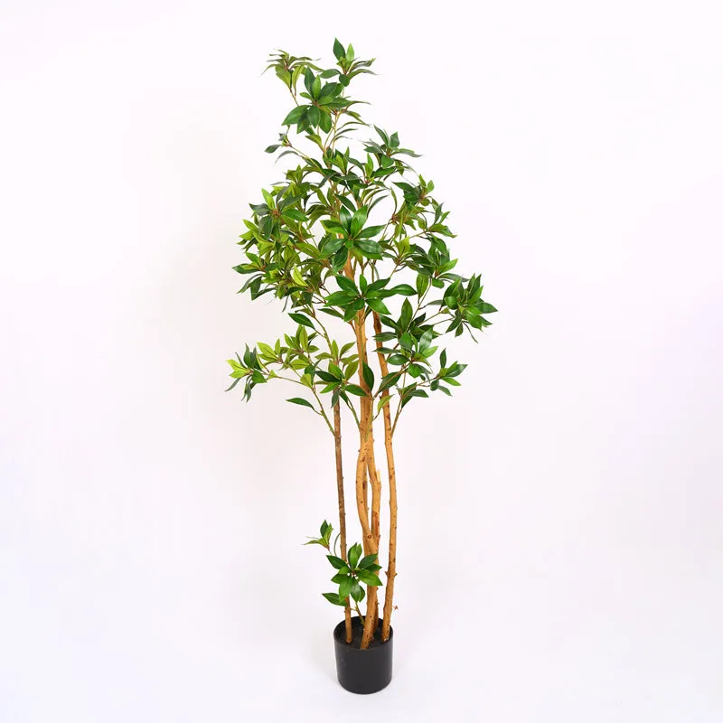 Verdiq Artificial Ruscus With Black Plastic Pot - 5 Feet media 5