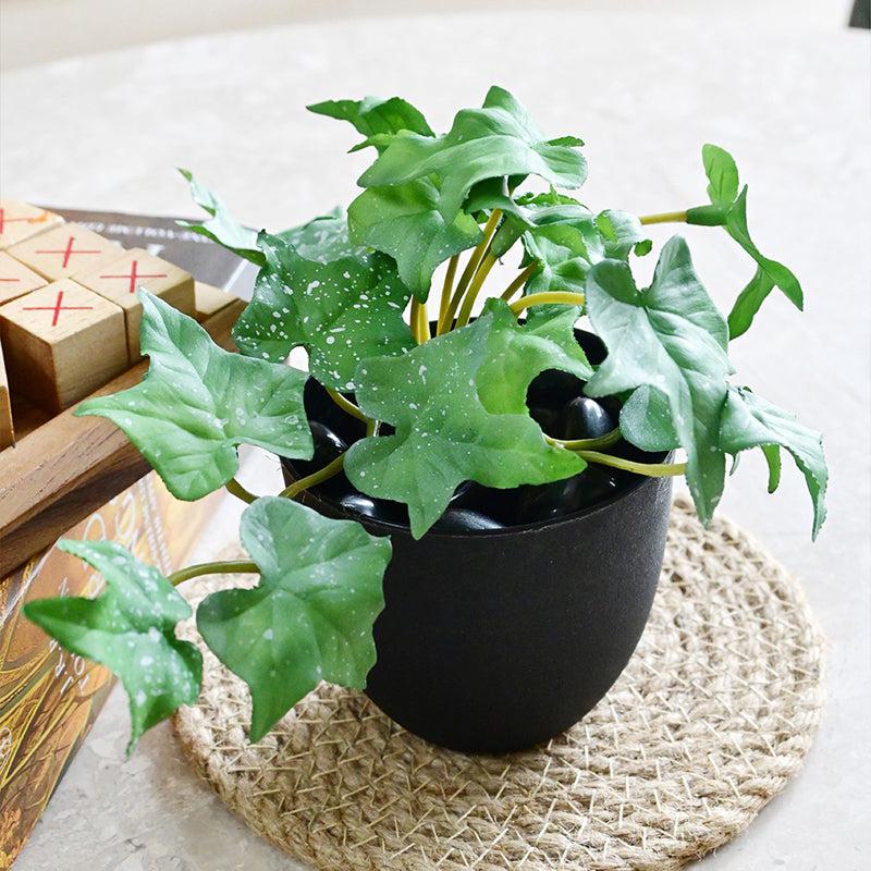 Ivella Artificial Mini Ivy Plant With Basic Black Plastic Pot (Green) - 14 cm media 5