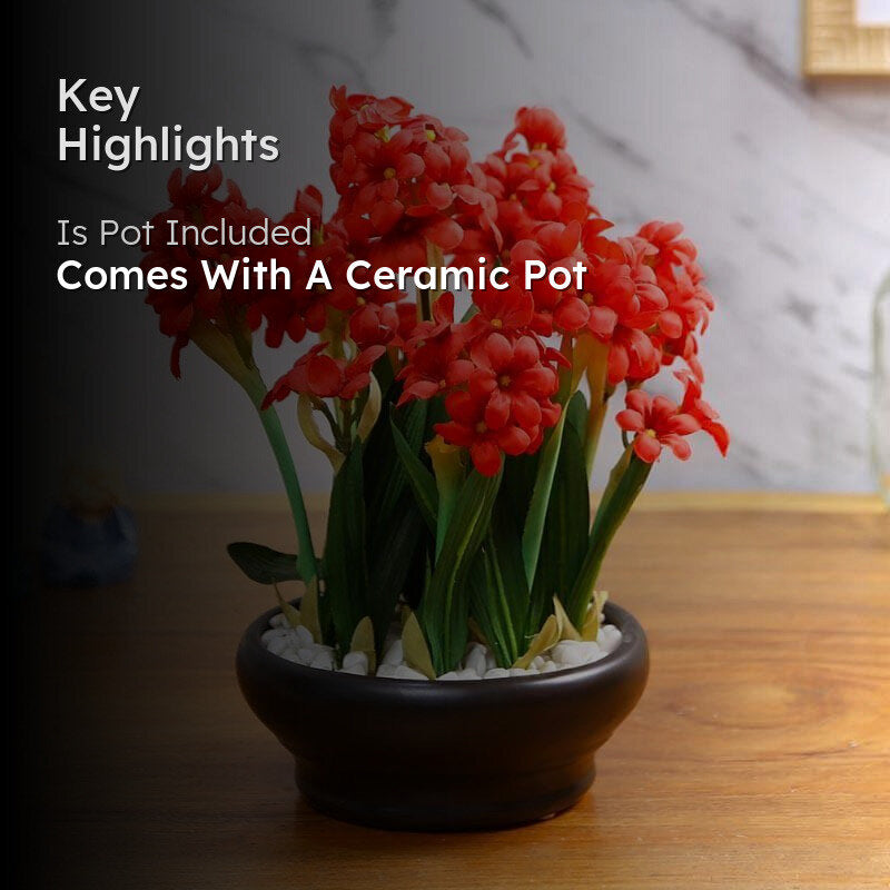 Faux Hyacinth Bonsai In Ceramic Pot (26 cms) - Red media 2