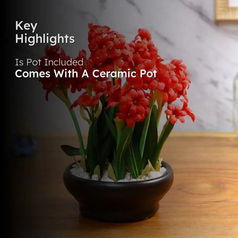Faux Hyacinth Bonsai In Ceramic Pot (26 cms) - Red media 2