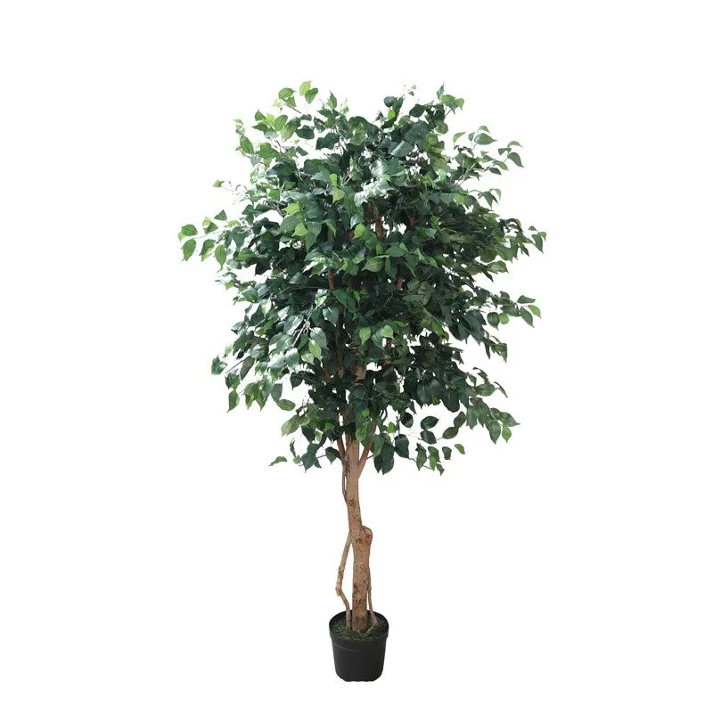 Verdant Calm Artificial Plant With Black Plastic Pot - 7.4 ft media 5