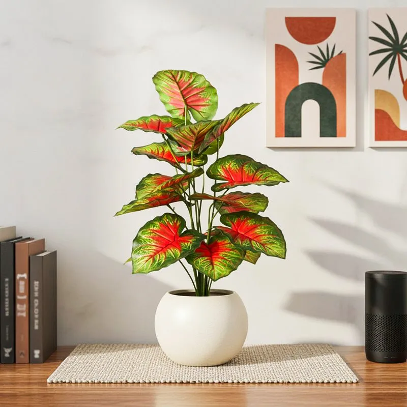 Calena Artificial Caladium With Black Plastic Pot - Red media 1