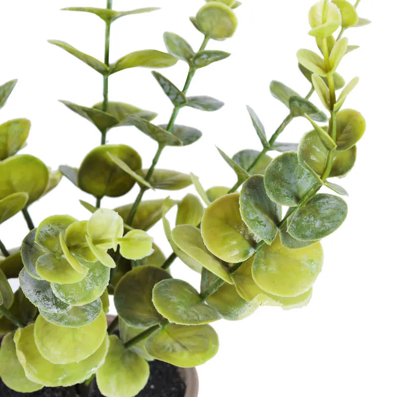 Artificial Eucalyptus Branch With Black Plastic Pot - 1 Feet media 4