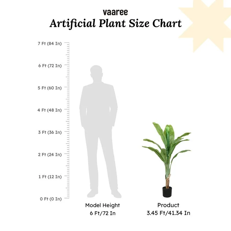 FreshForm Banana Plant With Black Fiber Pot - 4.3 Feet media 8