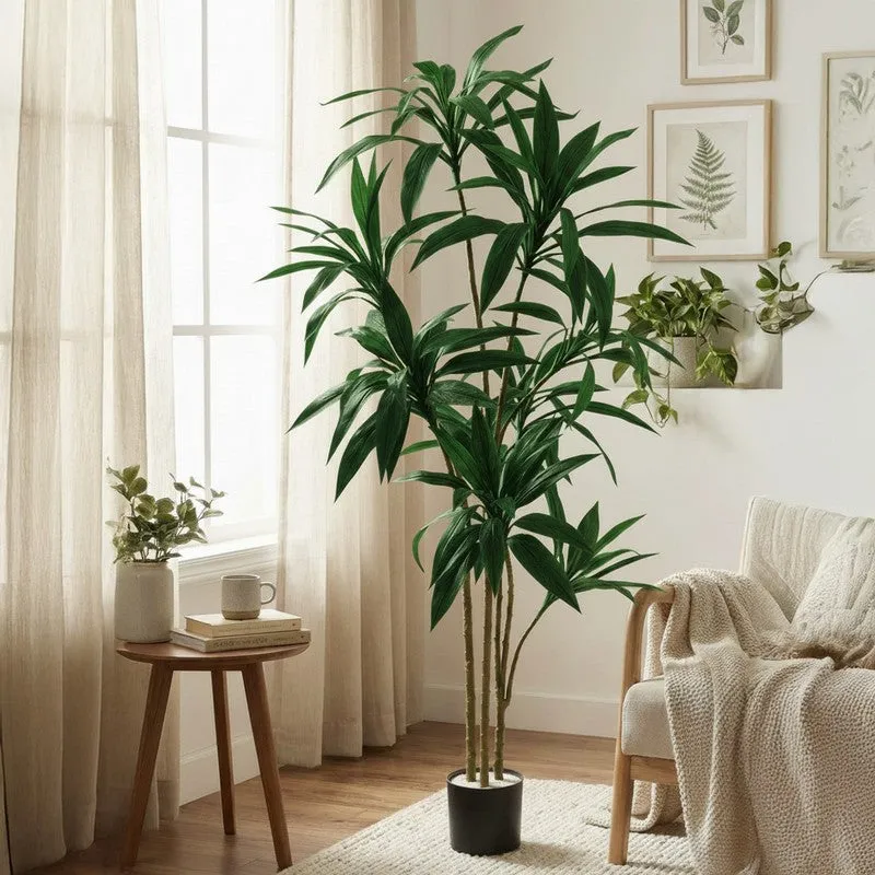Lifestra Artificial Dracaena Green Tree With Black Plastic Pot 5.6 ft media 3