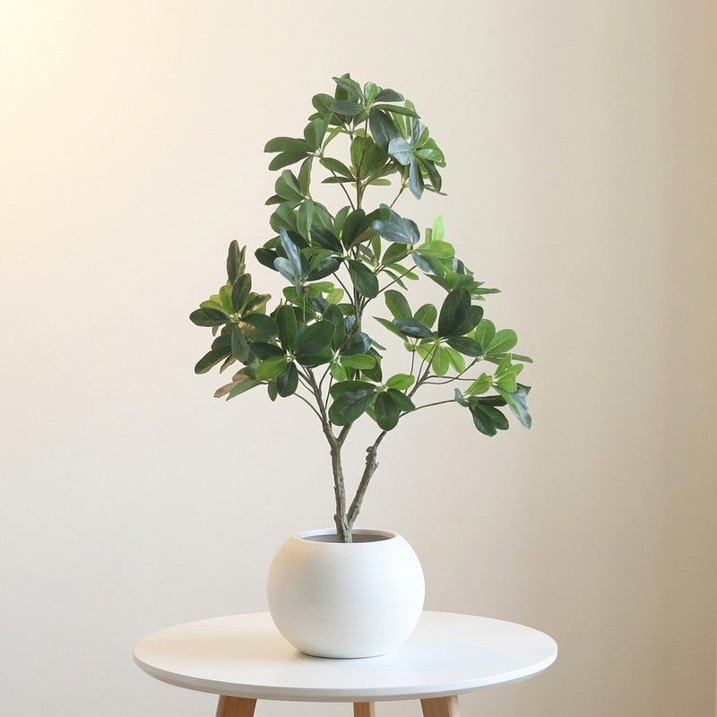 GreenAura Artificial Plant With Black Plastic Pot - 2.5 ft