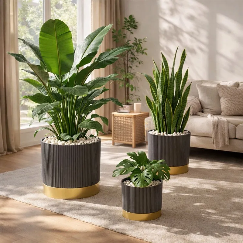 Solterra Planters (Grey) - Set Of Three media 5