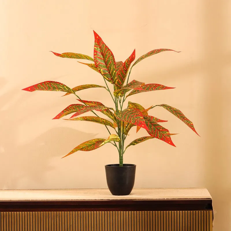Artificial Decorative Croton Plant With Pot - 2 ft media 4