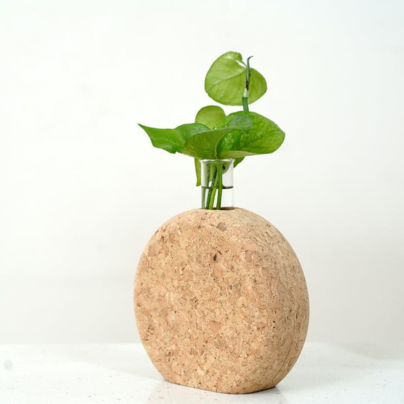 Sona Cork Testube Planter