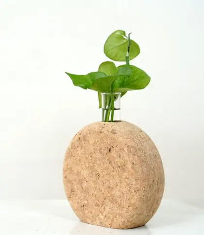 Cork