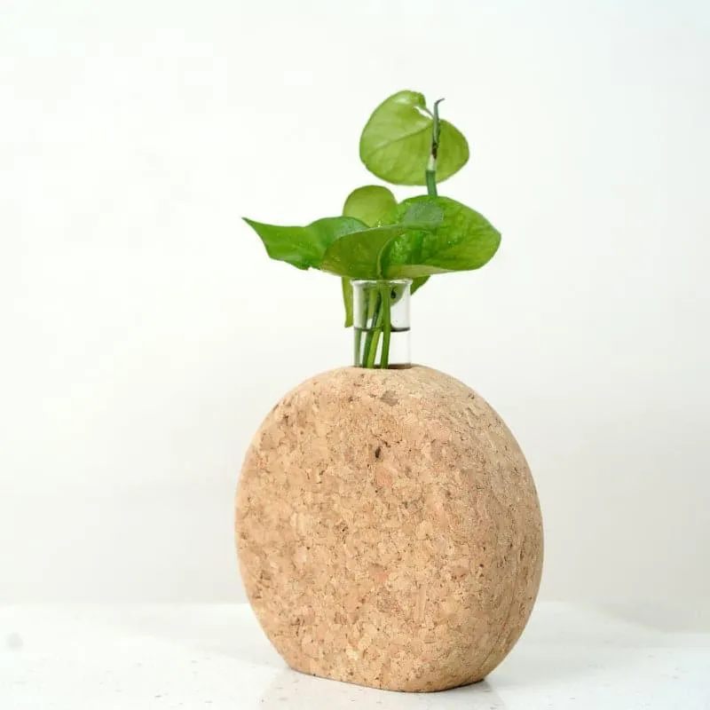 Sona Cork Testube Planter media 1