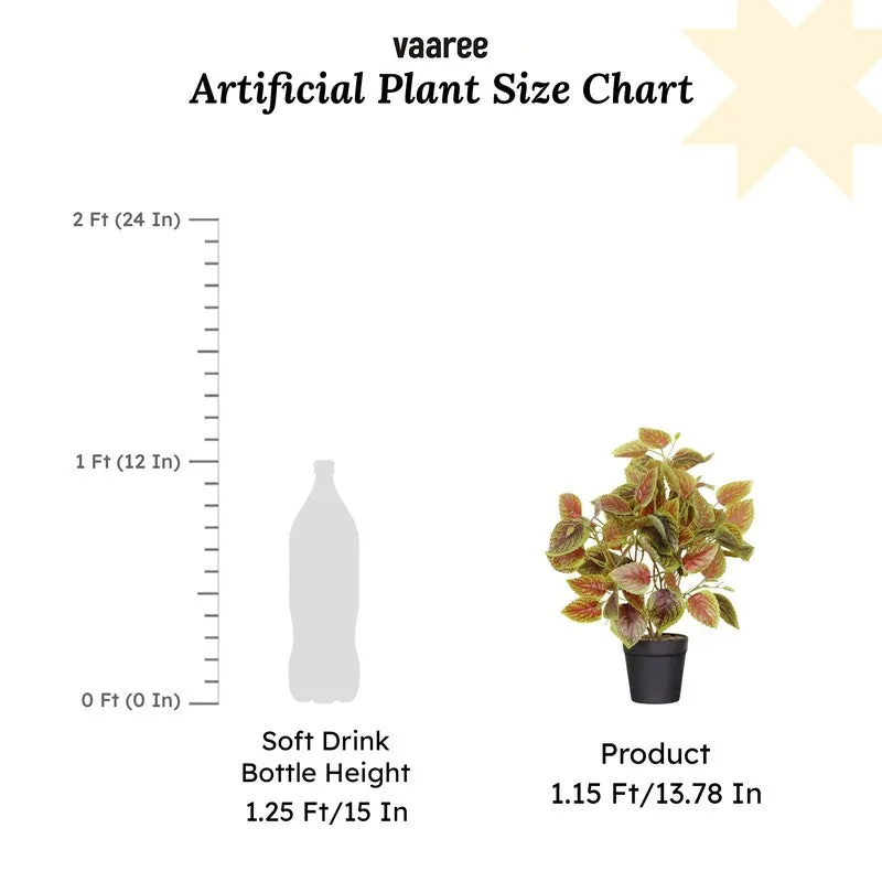 Artificial Brown Coleous Leaf Plant With Black Fiber Pot - 1 Feet media 7