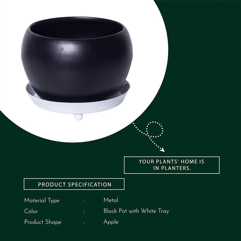 Kyari Starfarer Metal Planter media 4