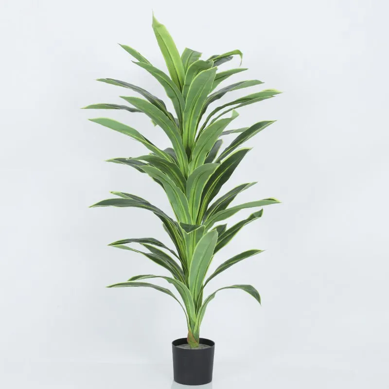 Everlyn Artificial Dracaena Plant With Black Fiber Pot - 4.6 Feet media 6