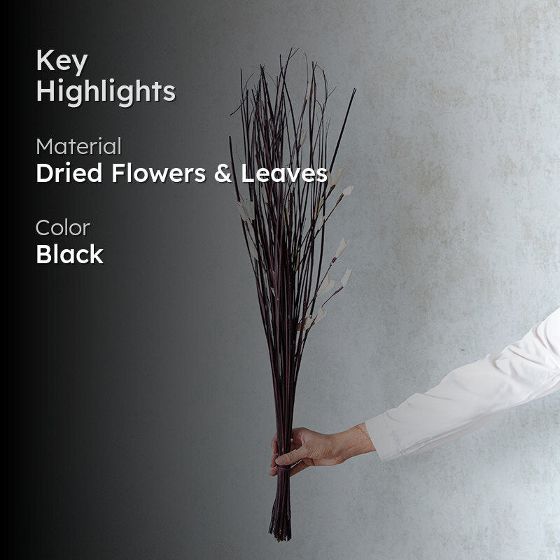 Delfrin Dried Stem - Black media 2