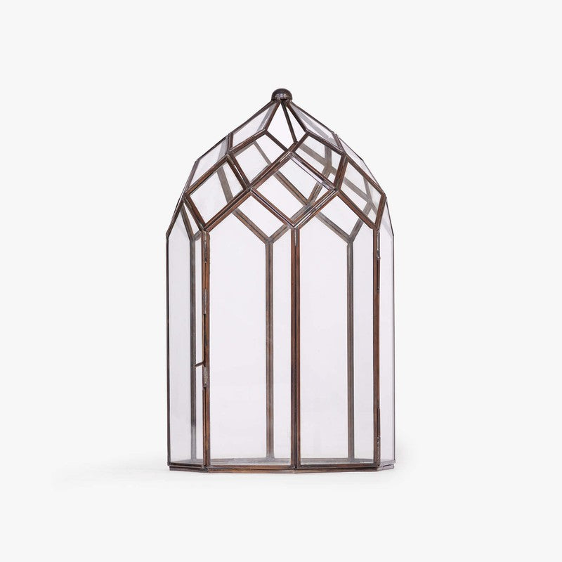 Orange Tree June Lantern media 10