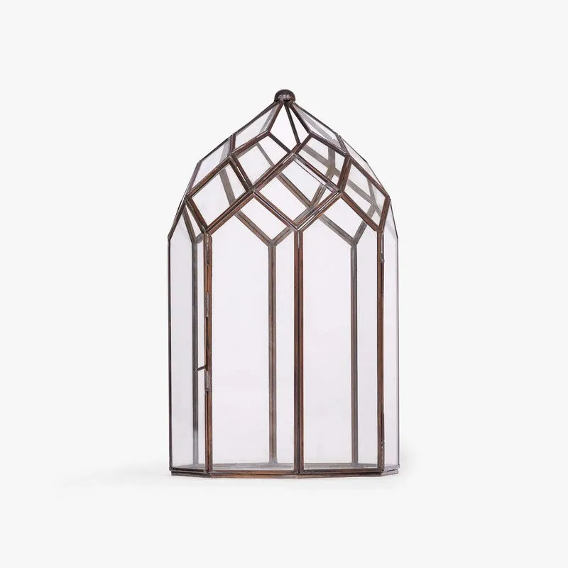 Orange Tree June Lantern media 10