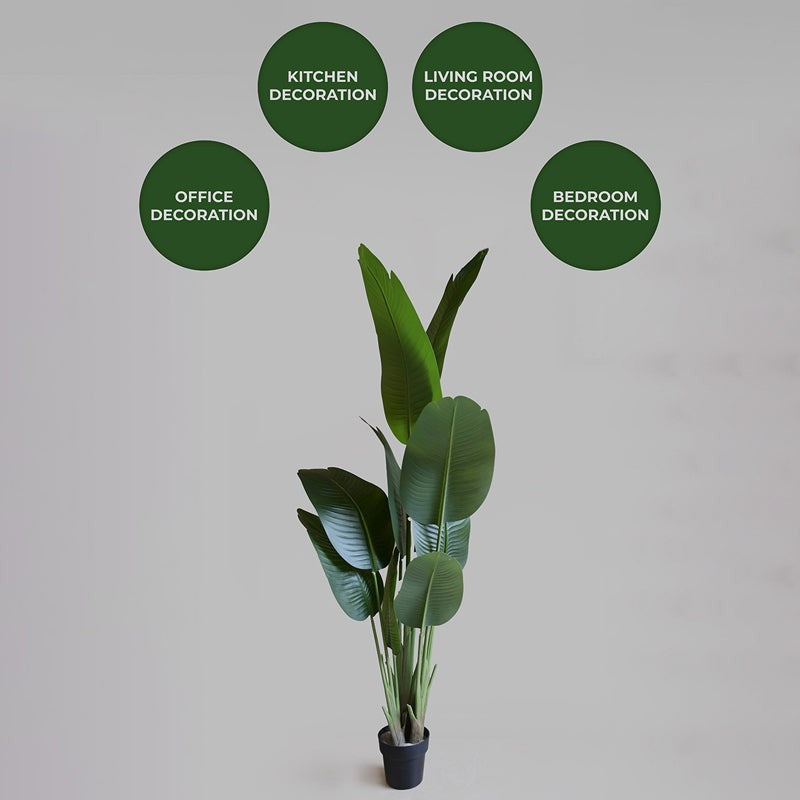 Tropibana Artificial Bird Of Paradise With Black Plastic Pot - 157 cm (5.2 ft) media 3