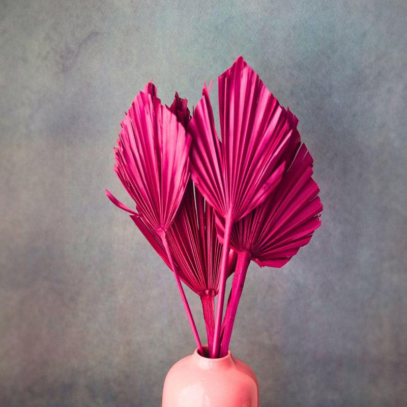 Alba Palm Leaf Stick - Set Of Five