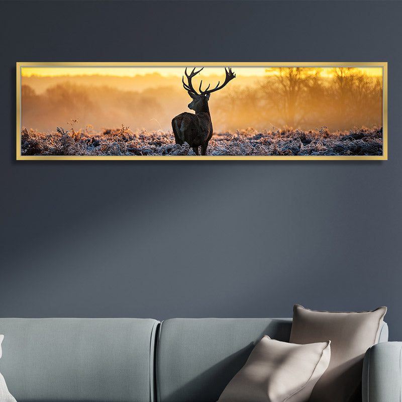 Cotton Canvas